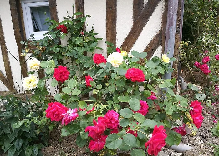 La Longere D'auberville Auberville